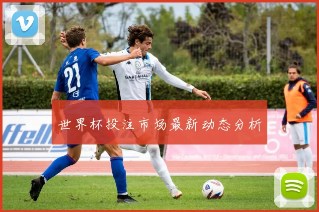 世界杯投注市场最新动态分析