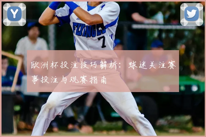 欧洲杯投注技巧解析：球迷关注赛事投注与观赛指南