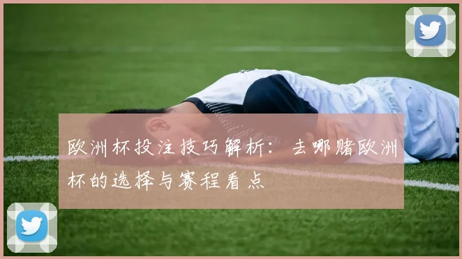 欧洲杯投注技巧解析：去哪赌欧洲杯的选择与赛程看点
