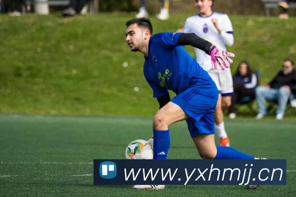 nba全明星周末：一场篮球盛宴背后的激情与故事